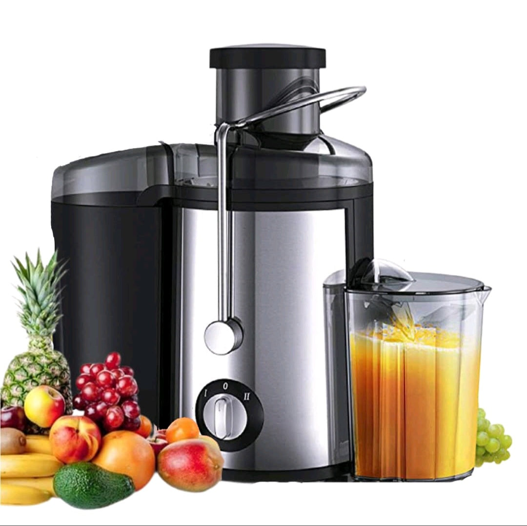 Slow Squeeze Fruit Juicer