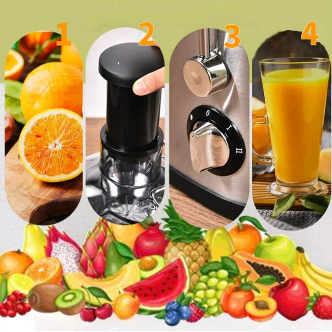Slow Squeeze Fruit Juicer